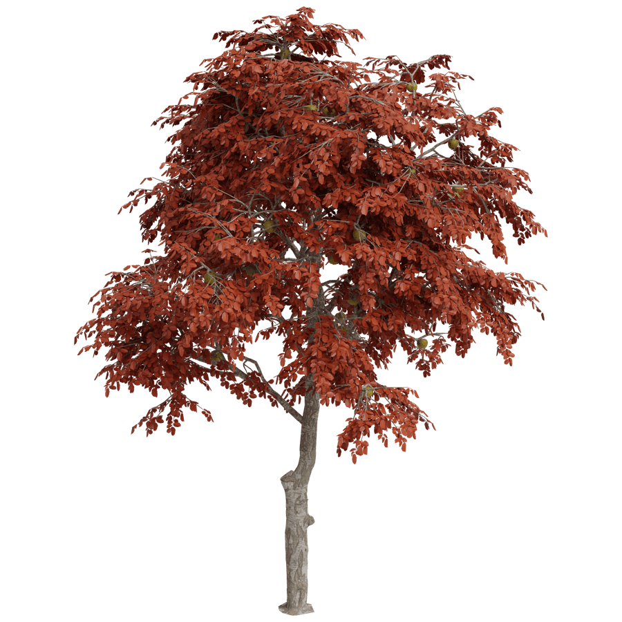 Trees 3D Model - A23D