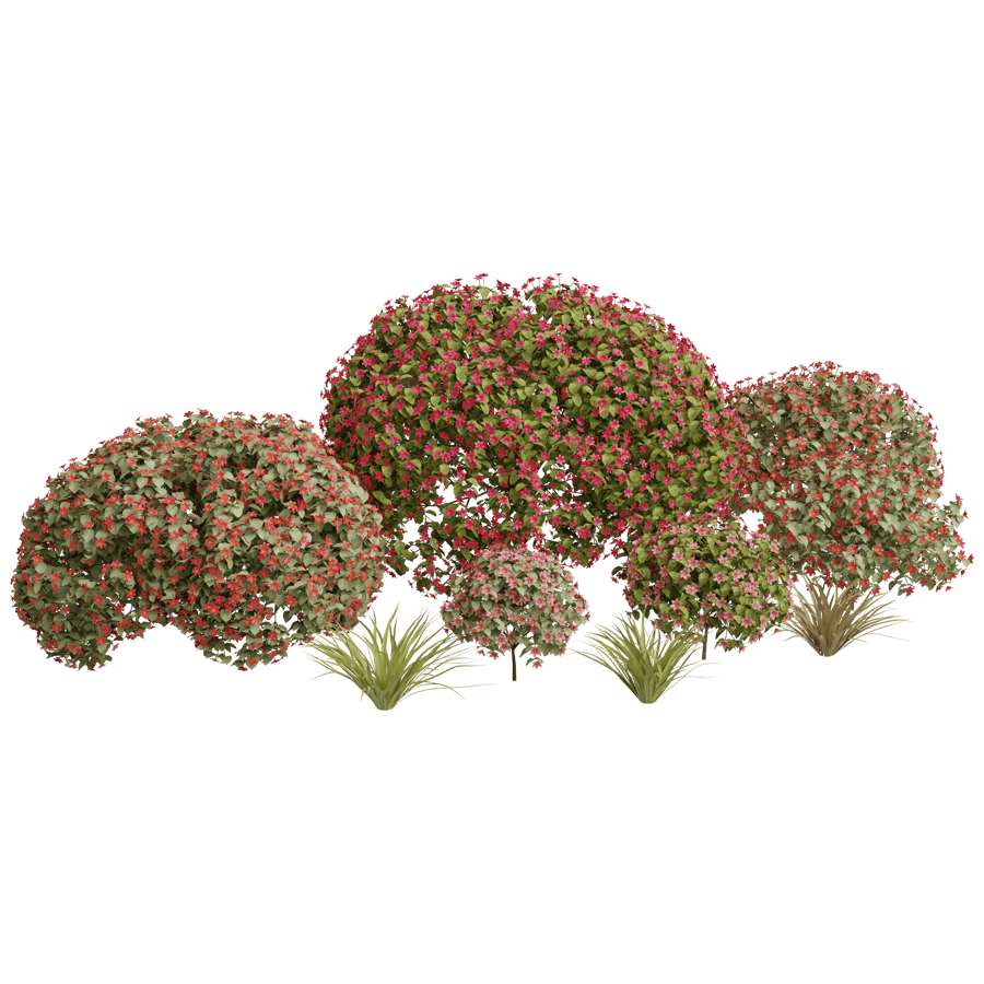 Ornamental Shrubs 3D Model - A23D