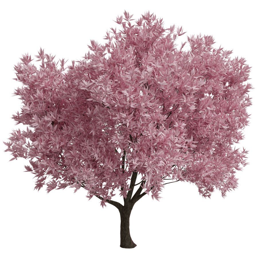 Shady Tree 3D Model - A23D