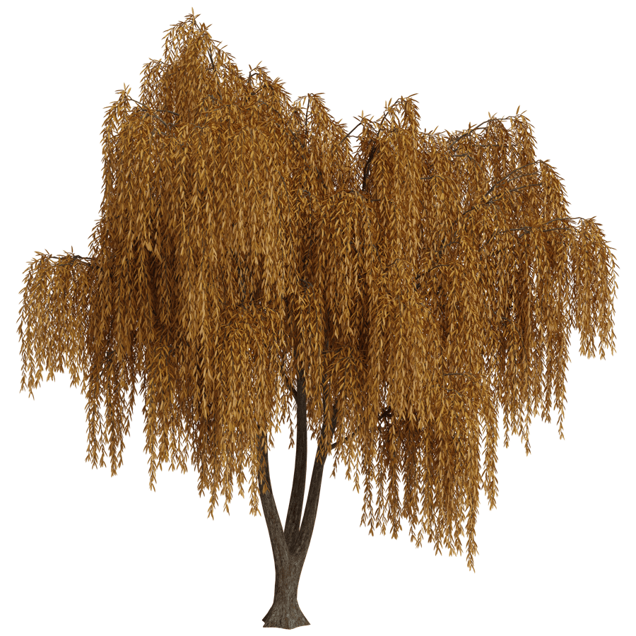 Trees 3D Model - A23D