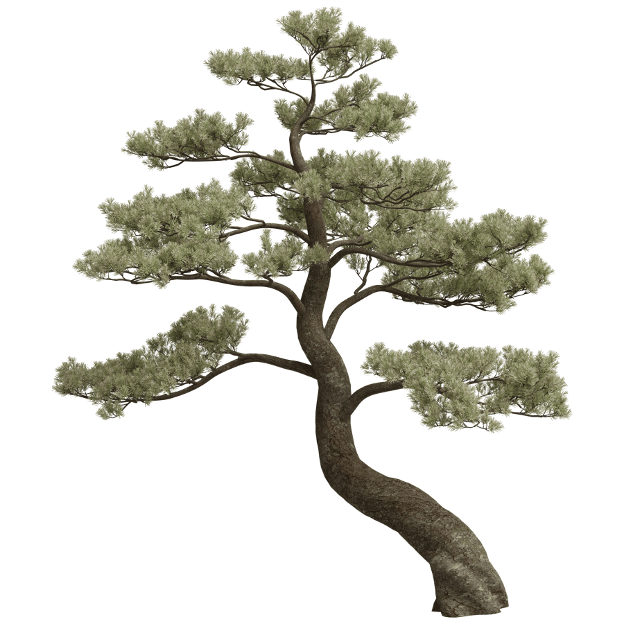 Tree 3D Model - A23D