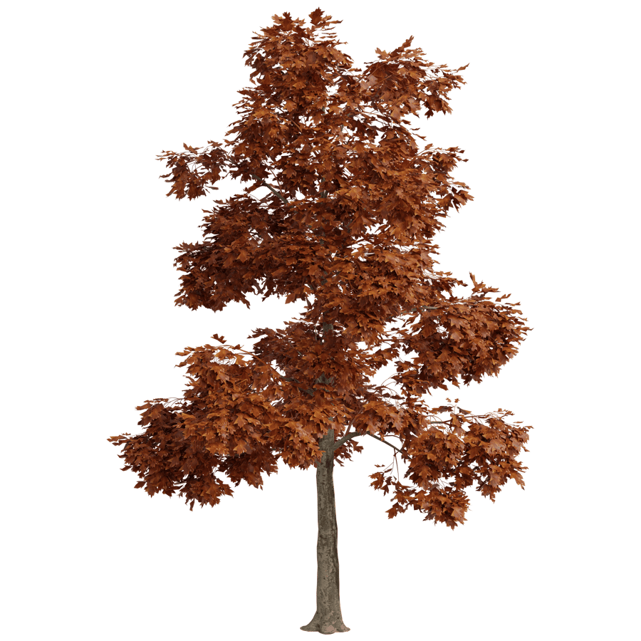 Trees 3D Model - A23D