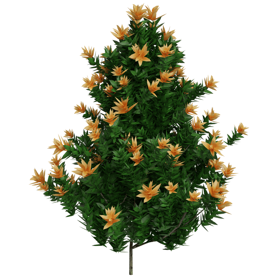 Flowering Shrub 3D Model - A23D