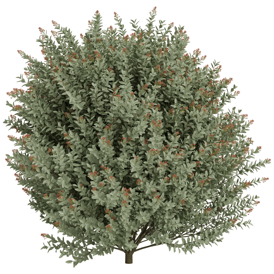 Shrubbery 3D Model - A23D