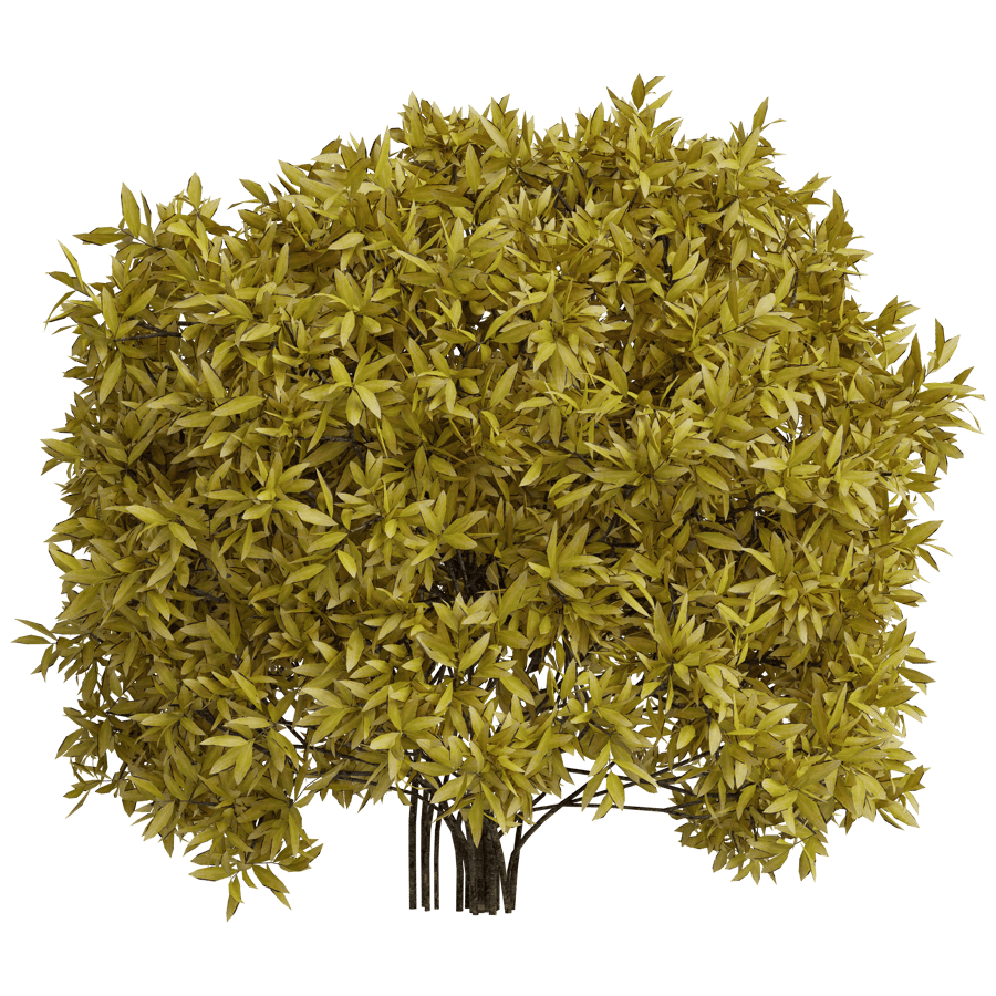Lush Shrub 3D Model - A23D