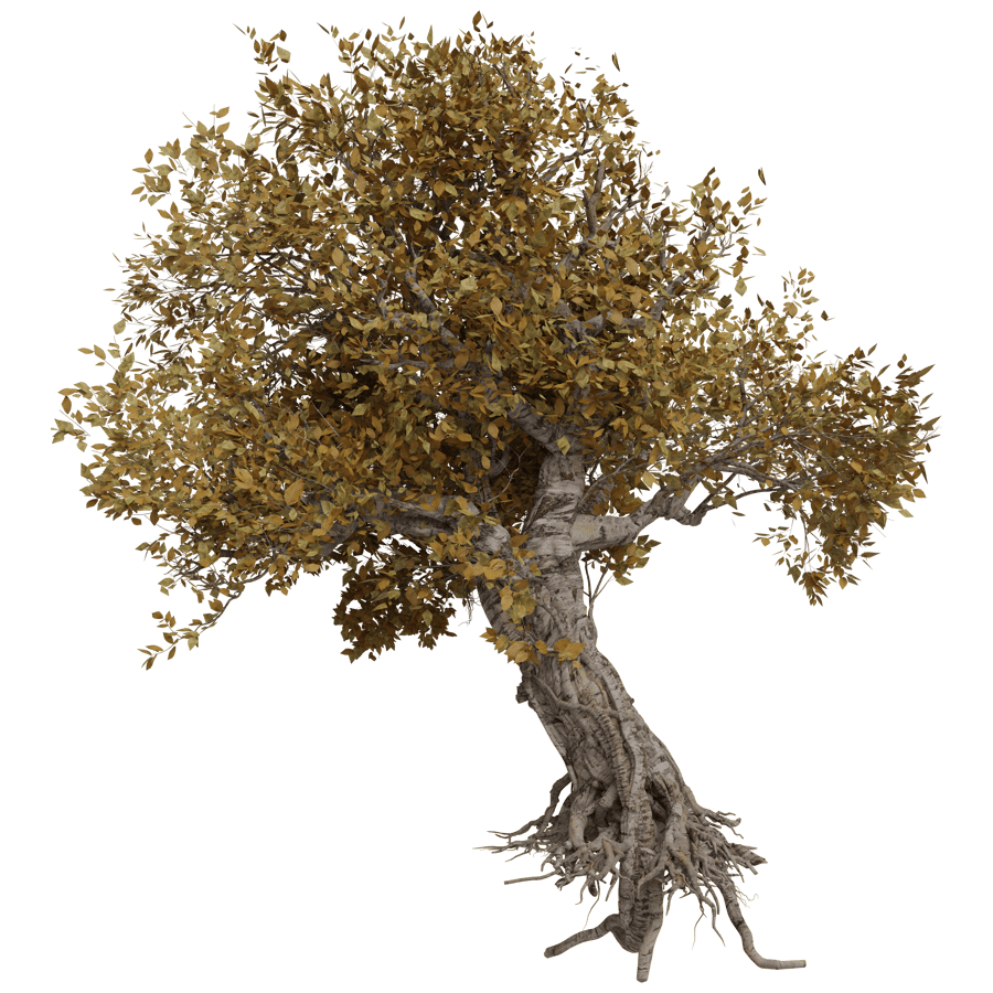 Trees 3D Model - A23D