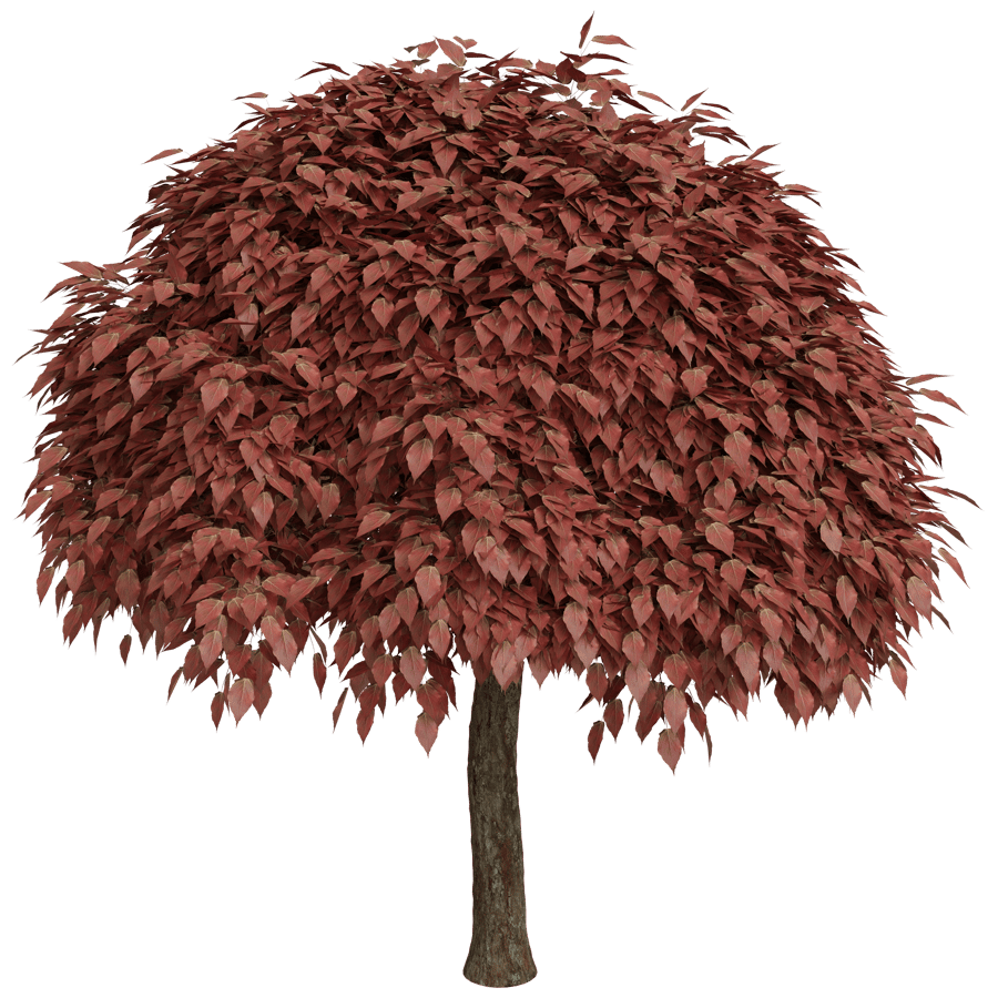 Trees 3D Model - A23D