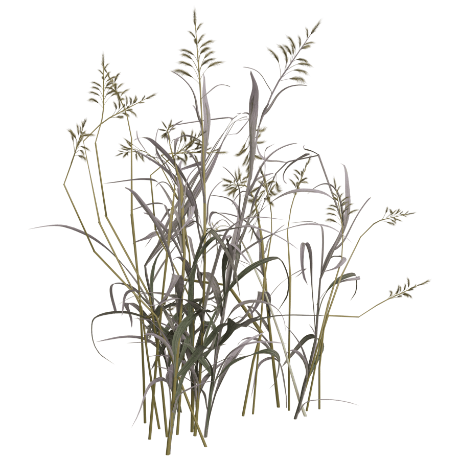 Ground Cover 3D Model - A23D