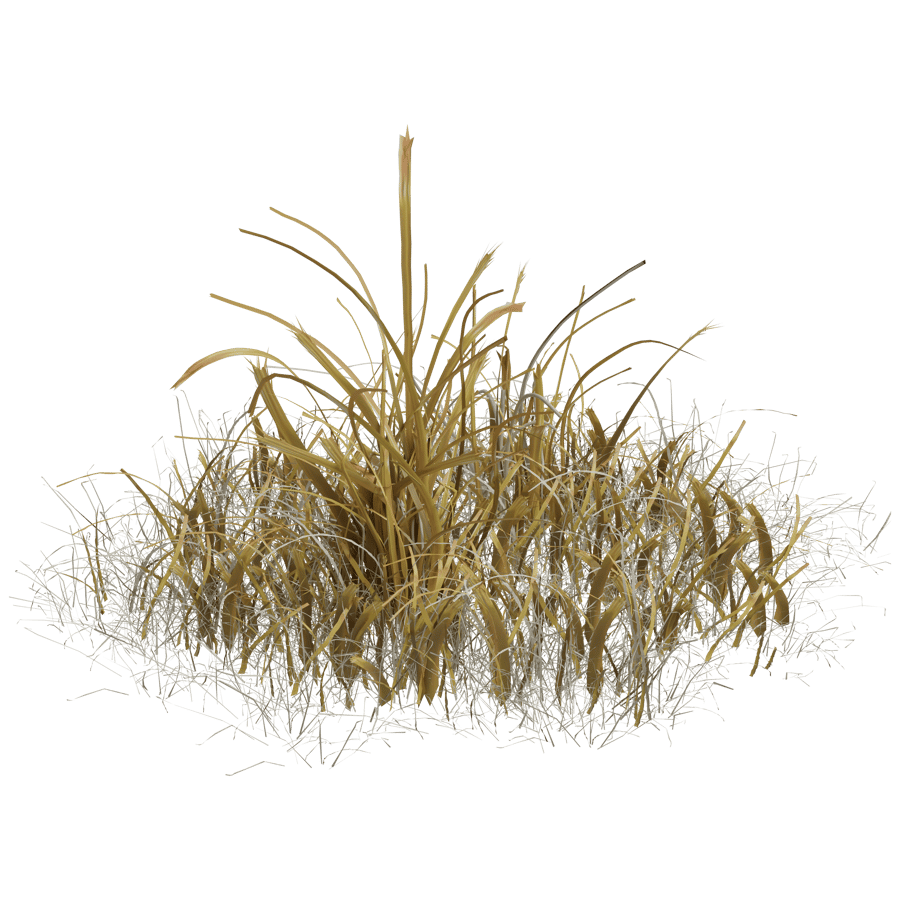 Ground Cover 3D Model - A23D