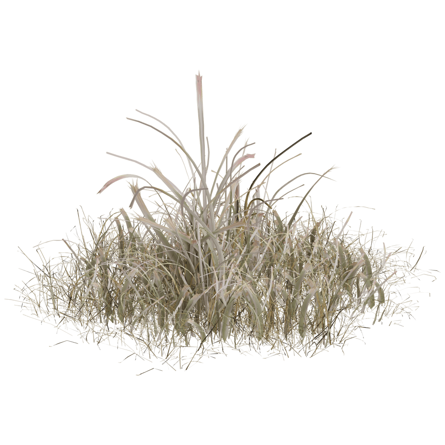 Ground Cover 3D Model - A23D