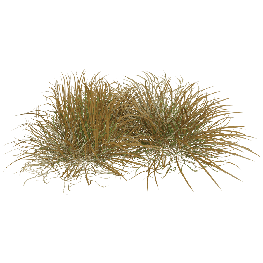 Ground Cover 3D Model - A23D