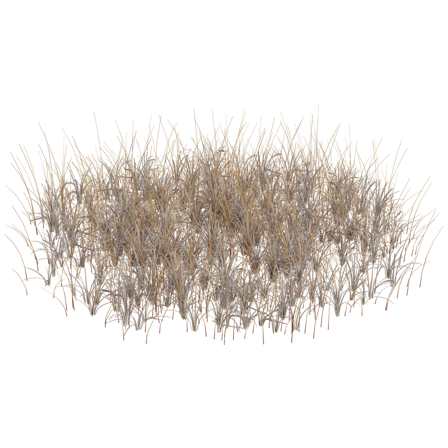 Ground Cover 3D Model - A23D