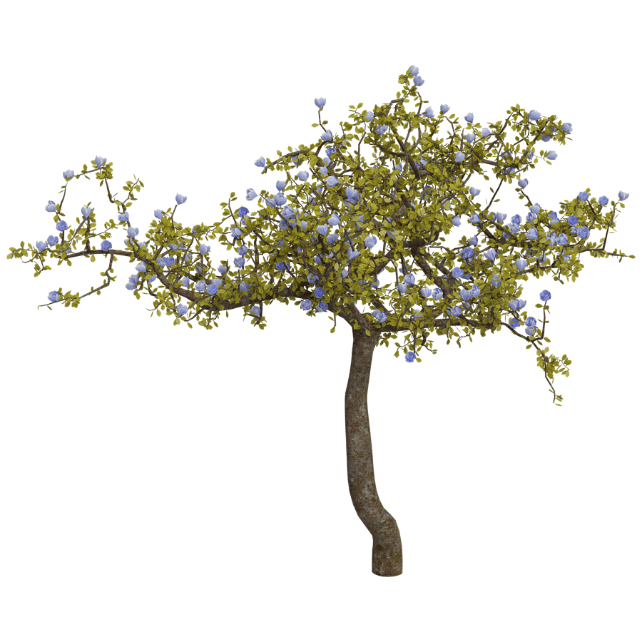 Trees 3D Model - A23D