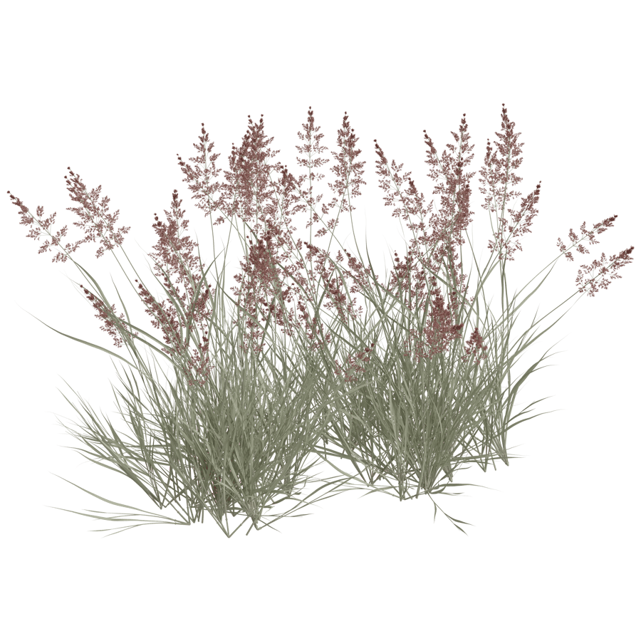 Ground Cover 3D Model - A23D