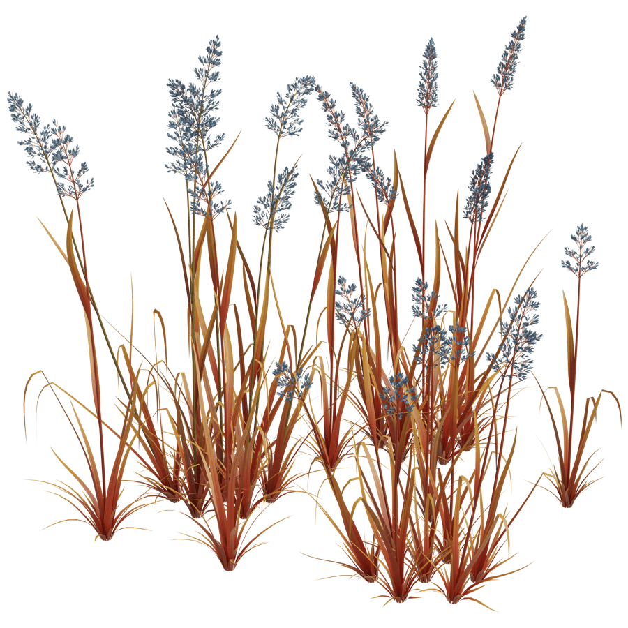 Ground Cover 3D Model - A23D