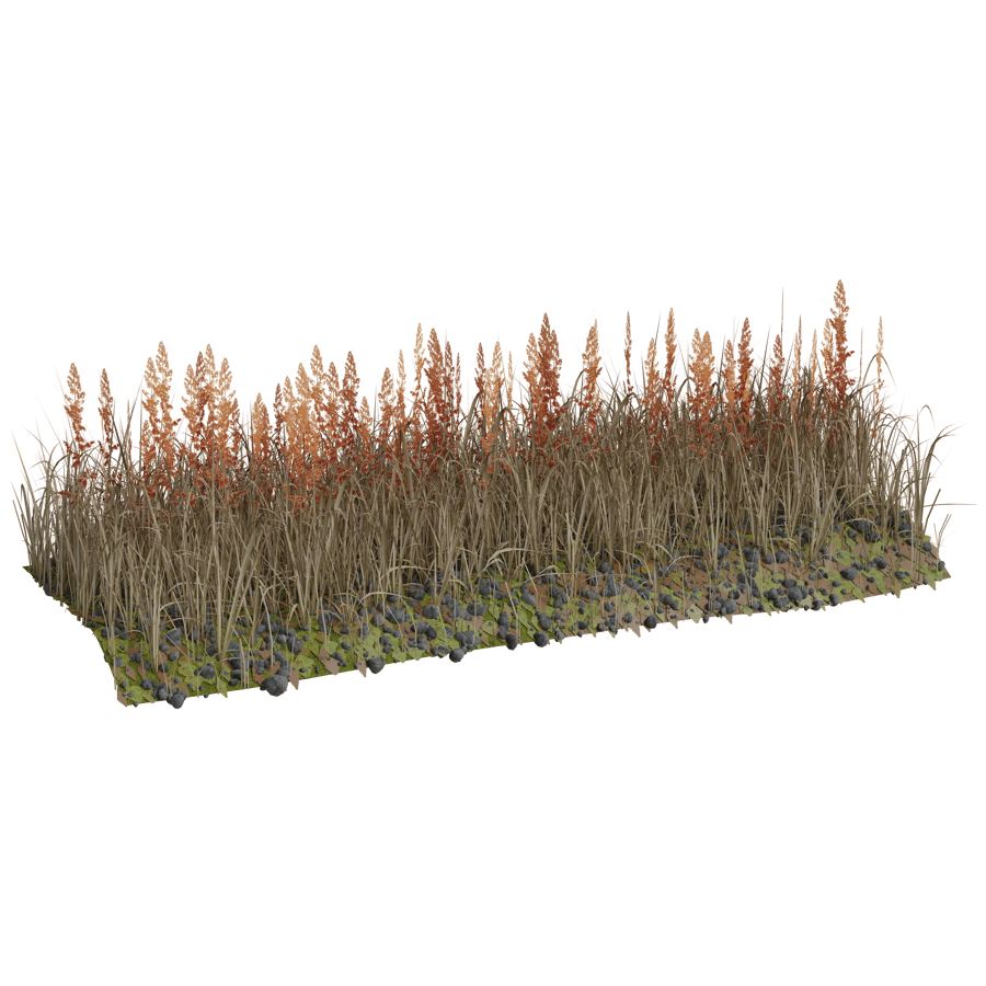 Ground Cover 3D Model - A23D