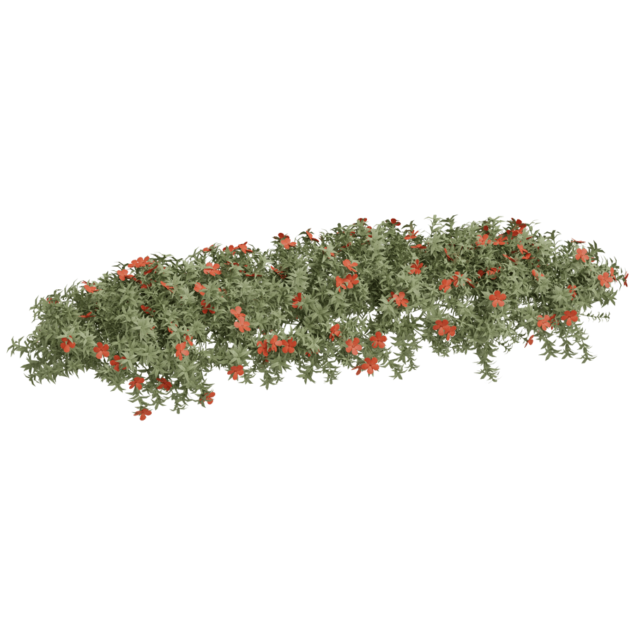 Ground Cover 3D Model - A23D