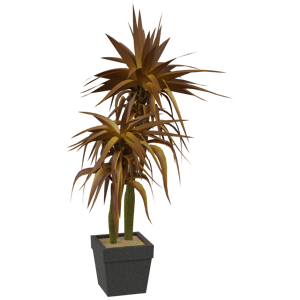 Yucca Plant 3D Model - A23D
