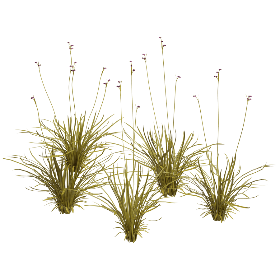Ground Cover 3D Model - A23D