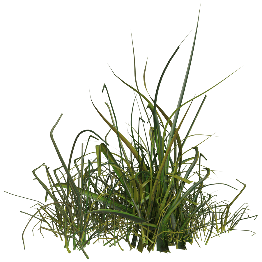 Ground Cover 3D Model - A23D