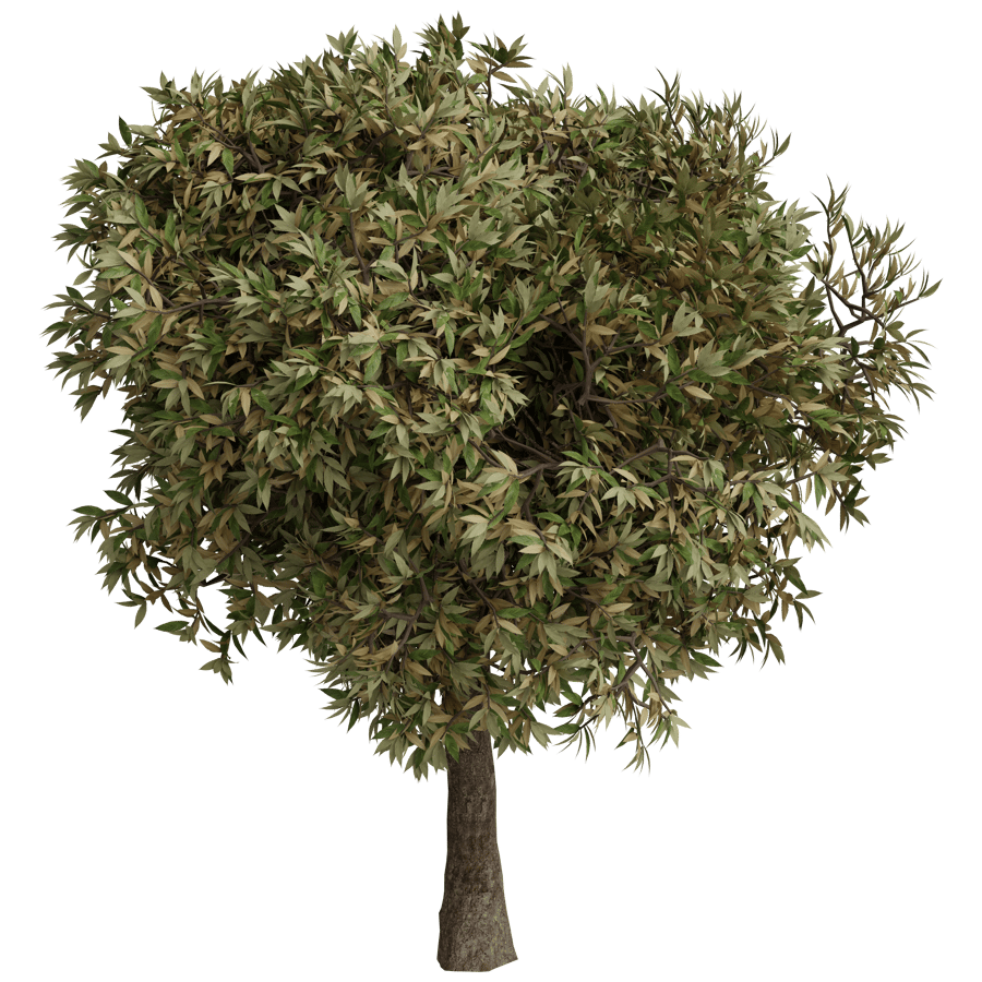 Trees 3D Model - A23D