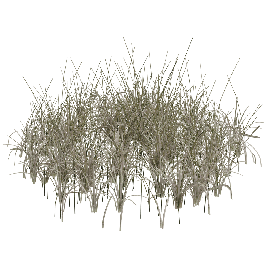 Ground Cover 3D Model - A23D