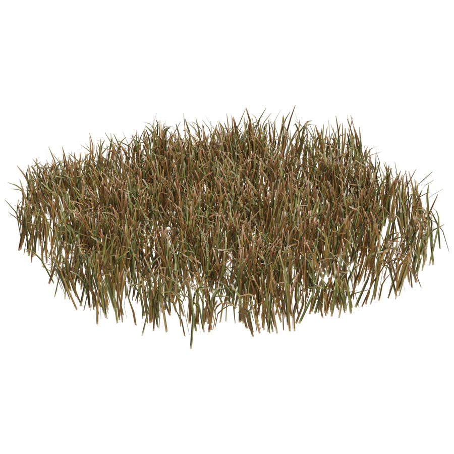 Ground Cover 3D Model - A23D