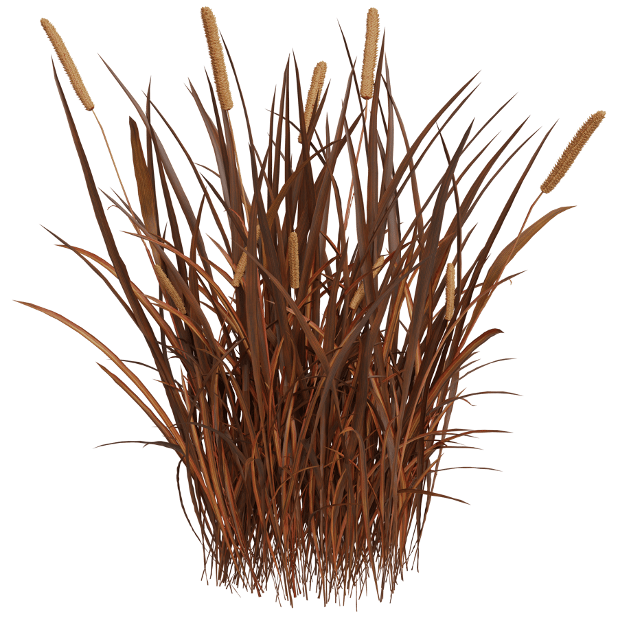 Ground Cover 3D Model - A23D