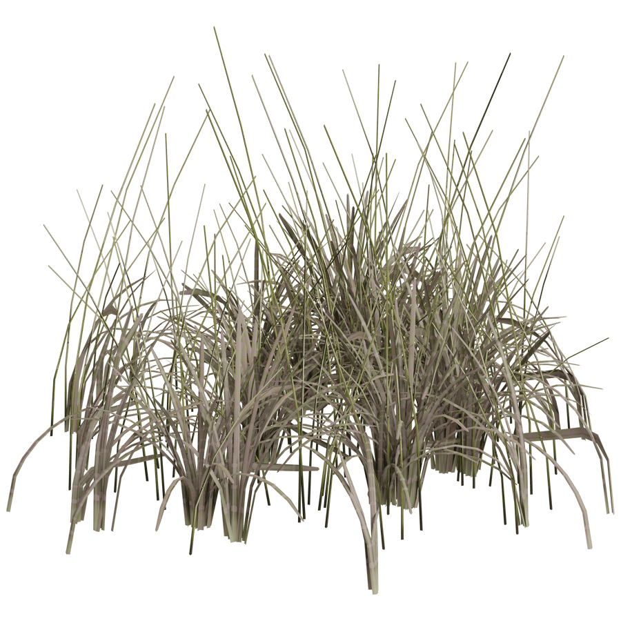 Ground Cover 3D Model - A23D