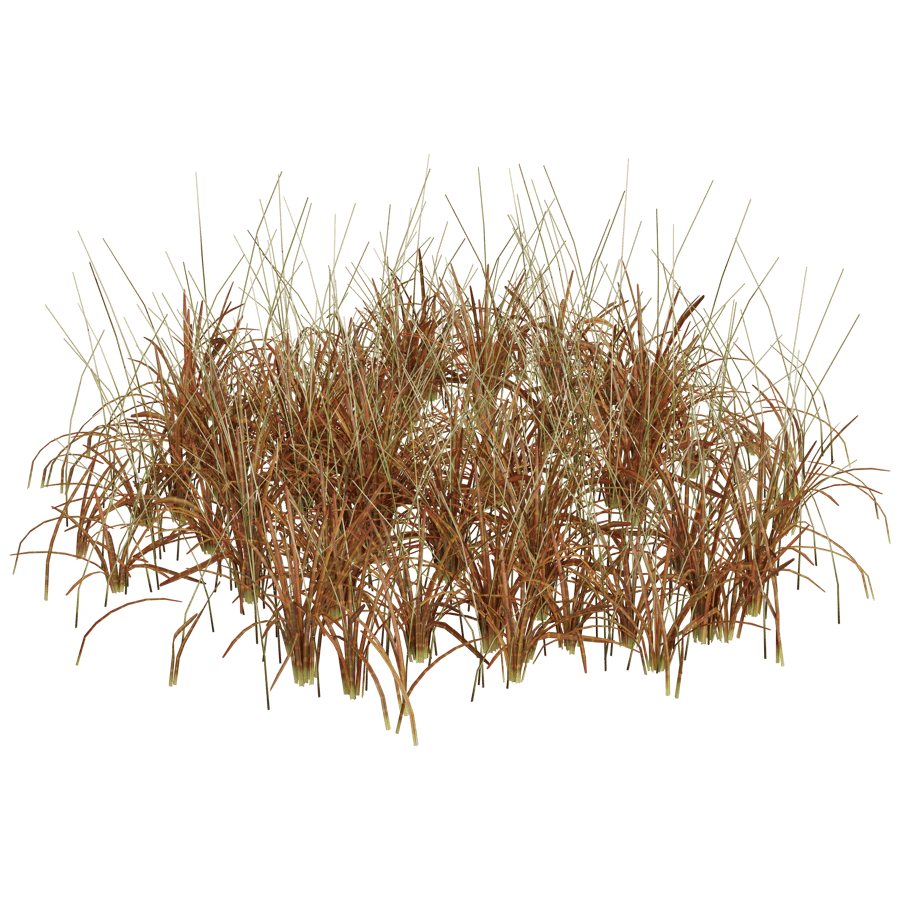 Ground Cover 3D Model - A23D
