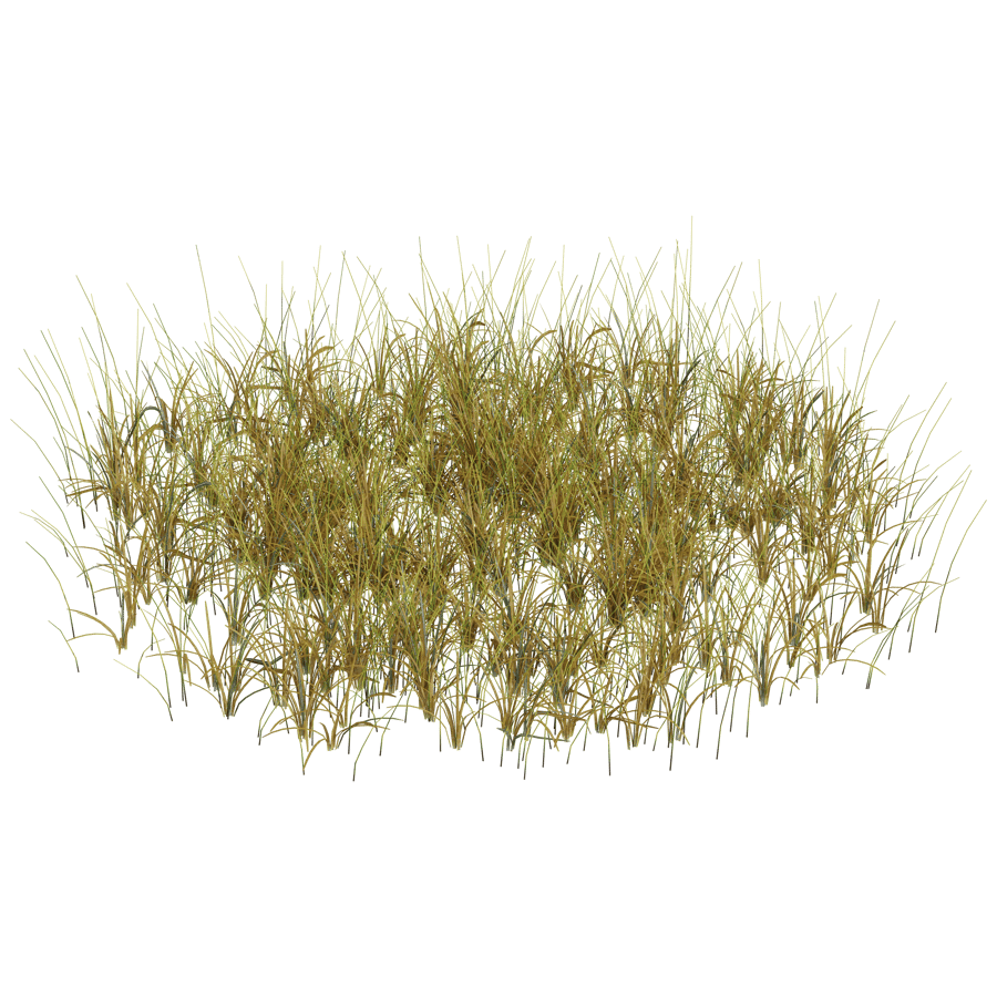 Ground Cover 3D Model - A23D