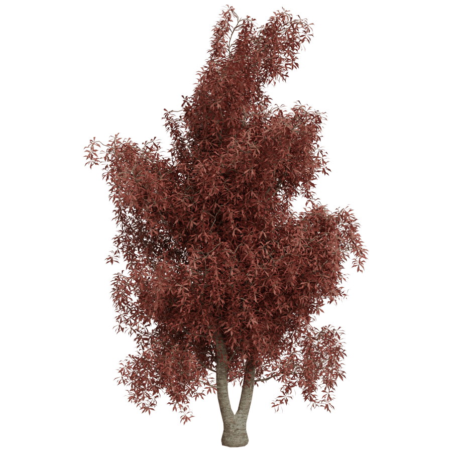 Trees 3D Model - A23D