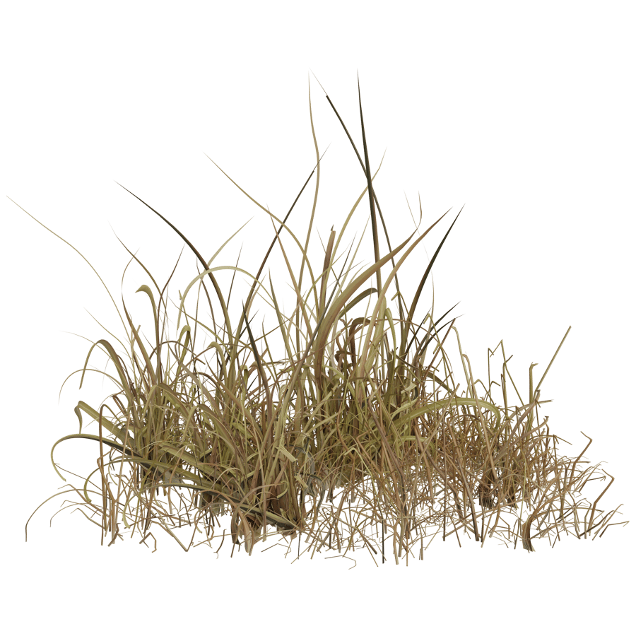 Ground Cover 3D Model - A23D