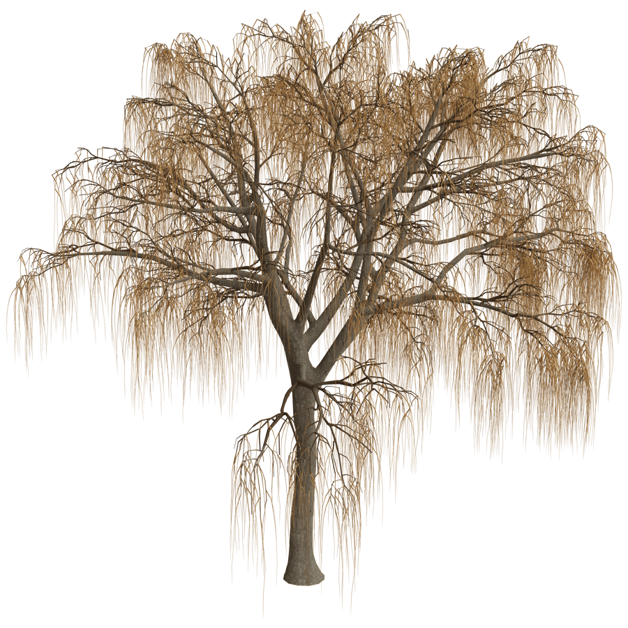Trees 3D Model - A23D