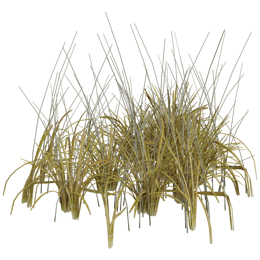 Ground Cover 3D Model - A23D
