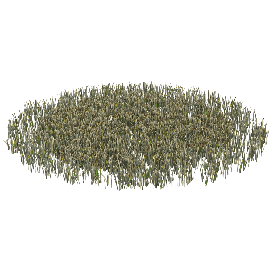 Ground Cover 3D Model - A23D