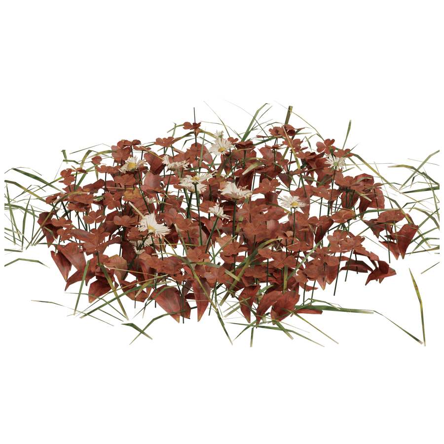 Ground Cover 3D Model - A23D