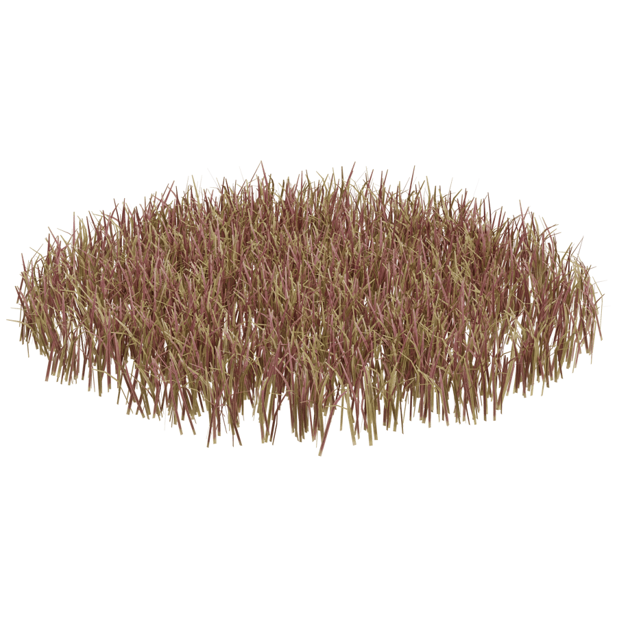 Ground Cover 3D Model - A23D
