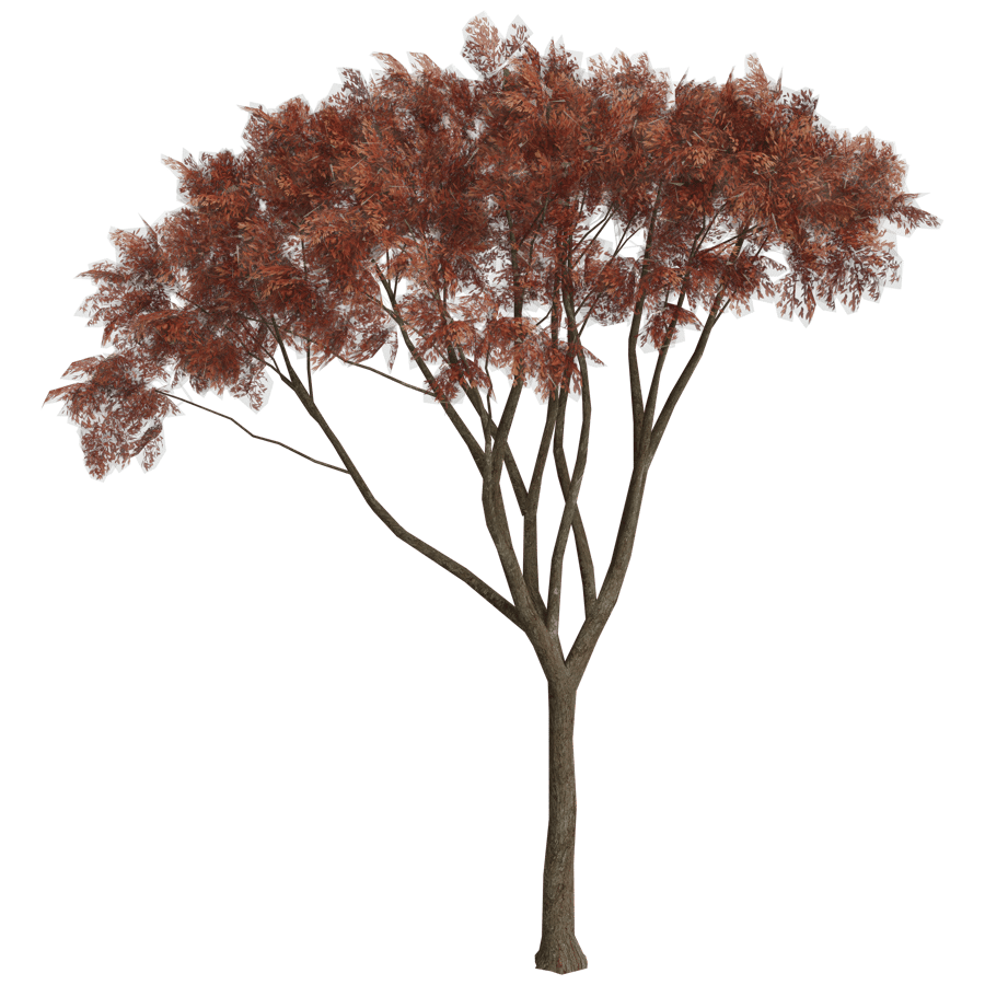 Tree 3D Model - A23D