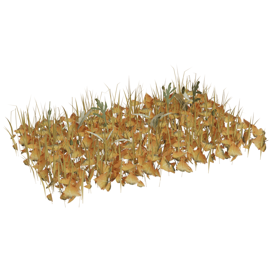 Ground Cover 3D Model - A23D