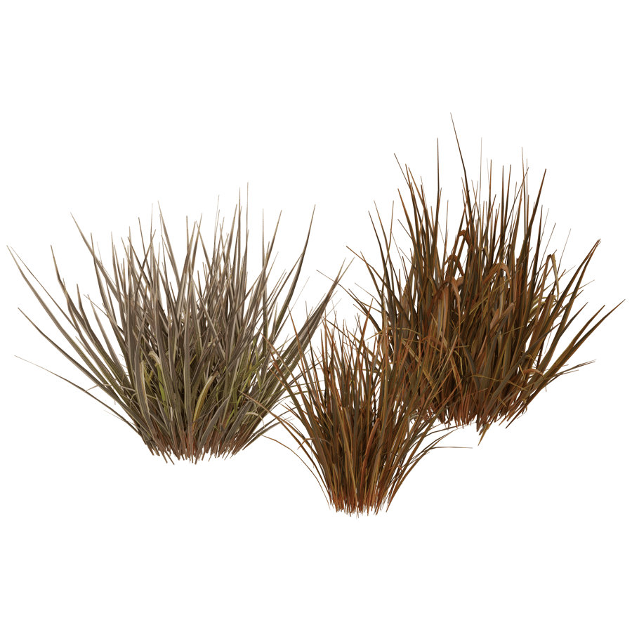 Ground Cover 3D Model - A23D
