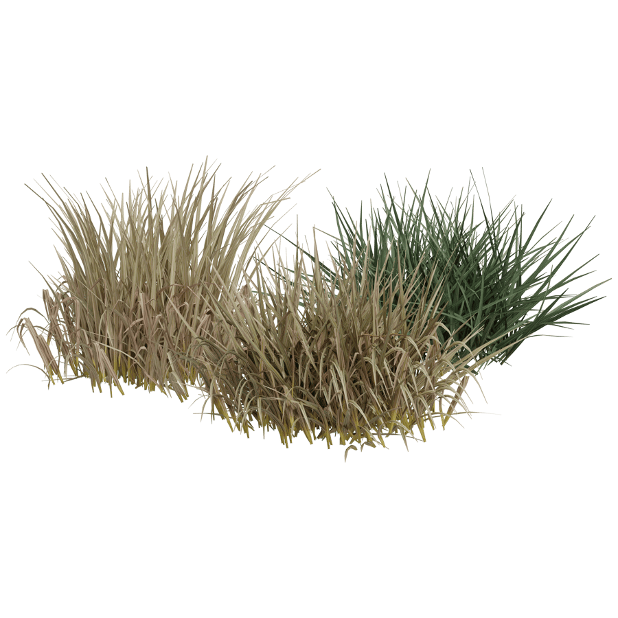 Ground Cover 3D Model - A23D