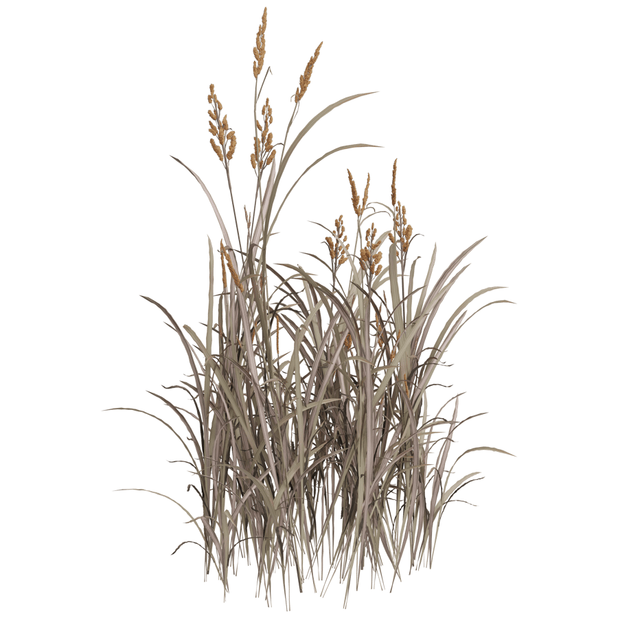 Ground Cover 3D Model - A23D
