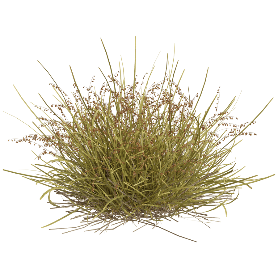 Ground Cover 3D Model - A23D