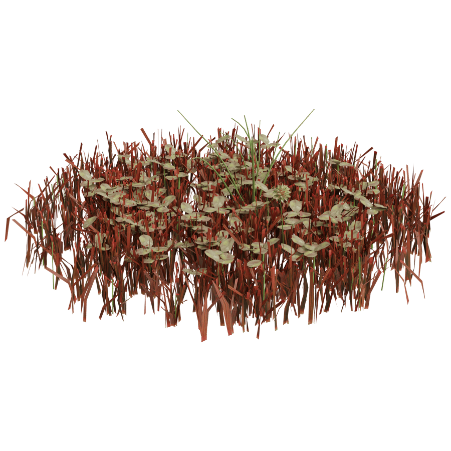 Ground Cover 3D Model - A23D