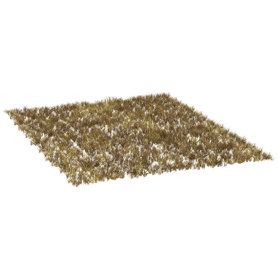 Ground Cover 3D Model - A23D