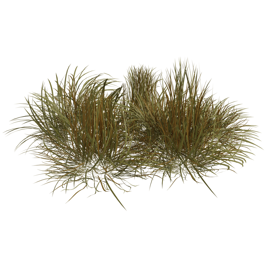 Ground Cover 3D Model - A23D