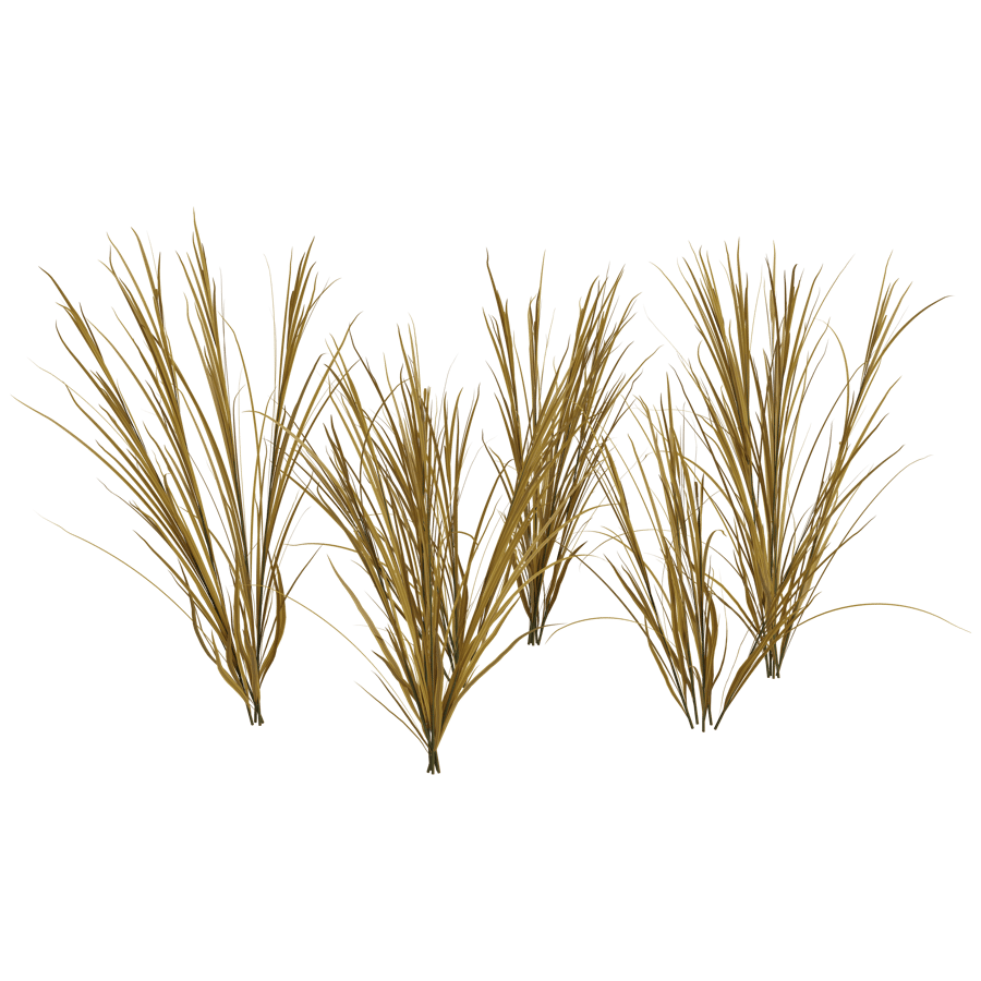 Ground Cover 3D Model - A23D