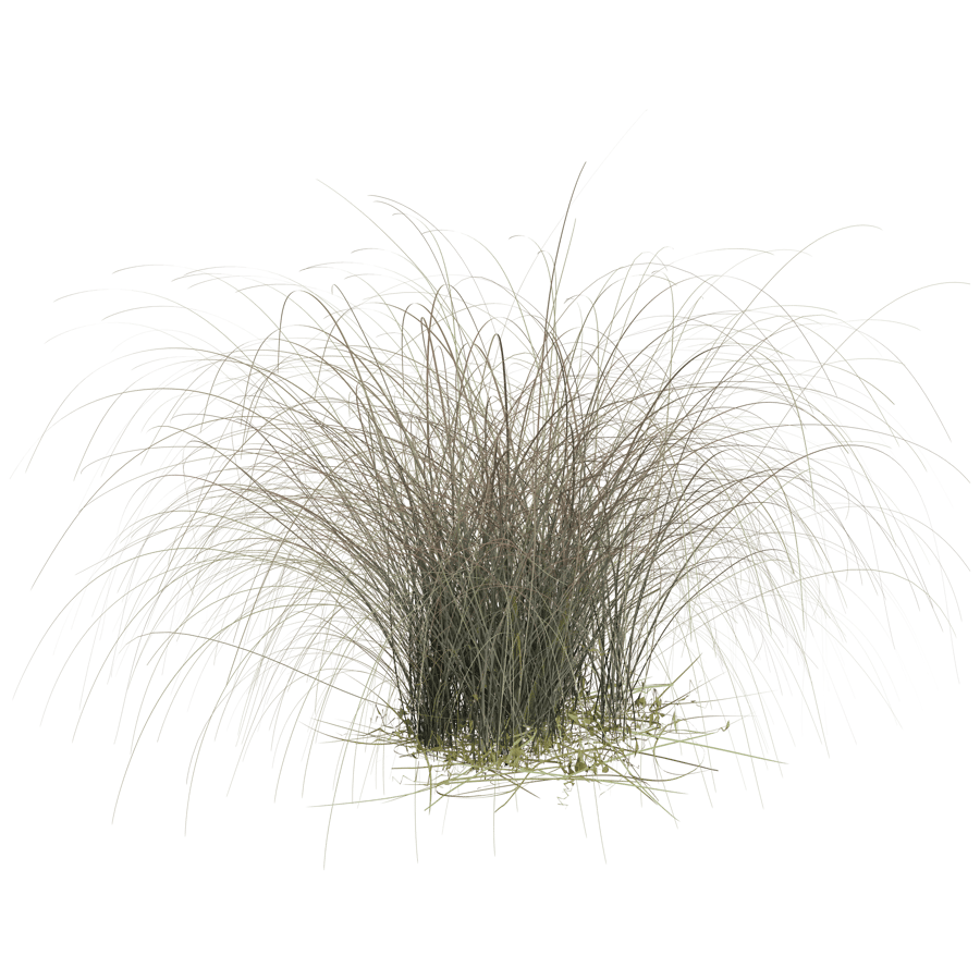 Ground Cover 3D Model - A23D