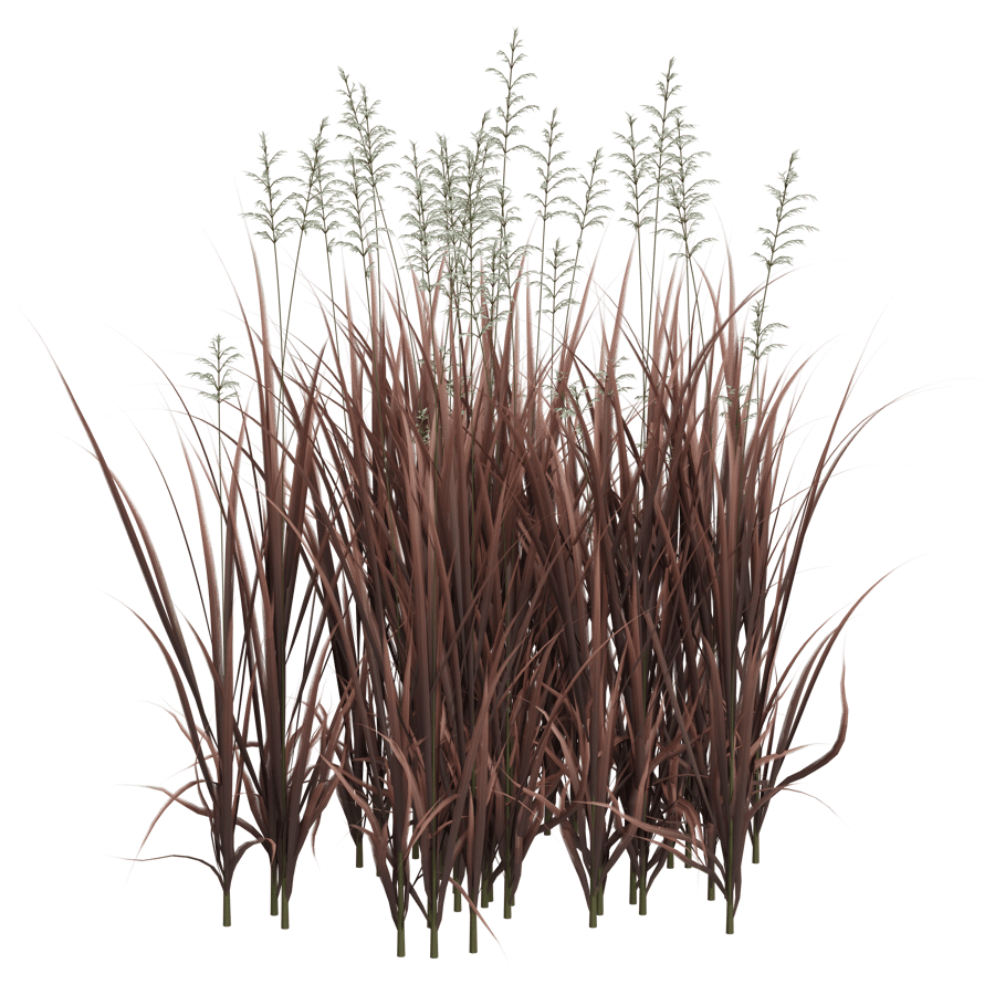 Ground Cover 3D Model - A23D